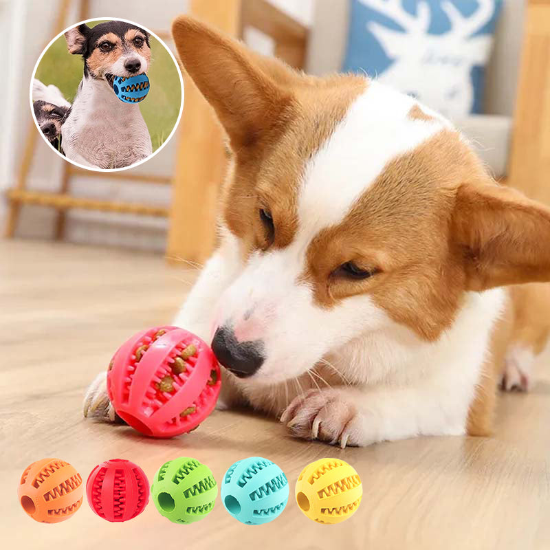 Teething Toys for Dogs