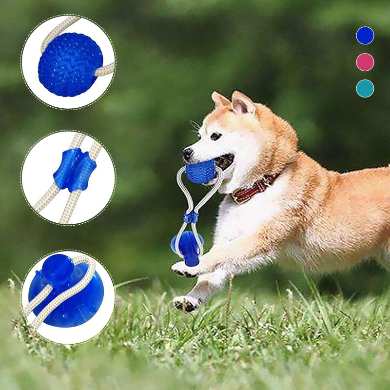 Multifunction Pet Molar Bite Toy