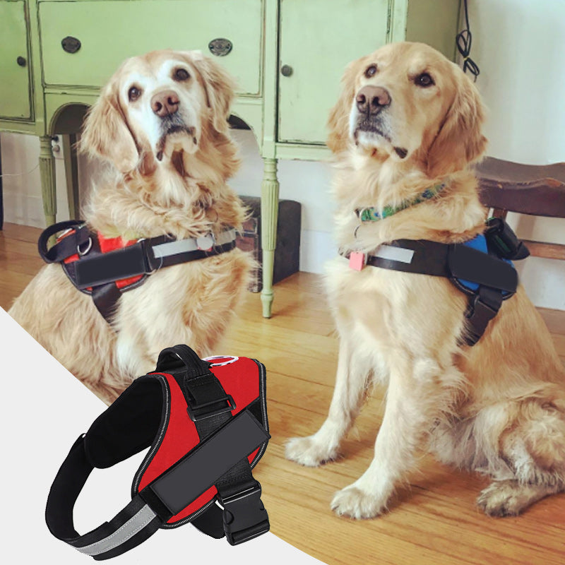 Pet Chest Harness