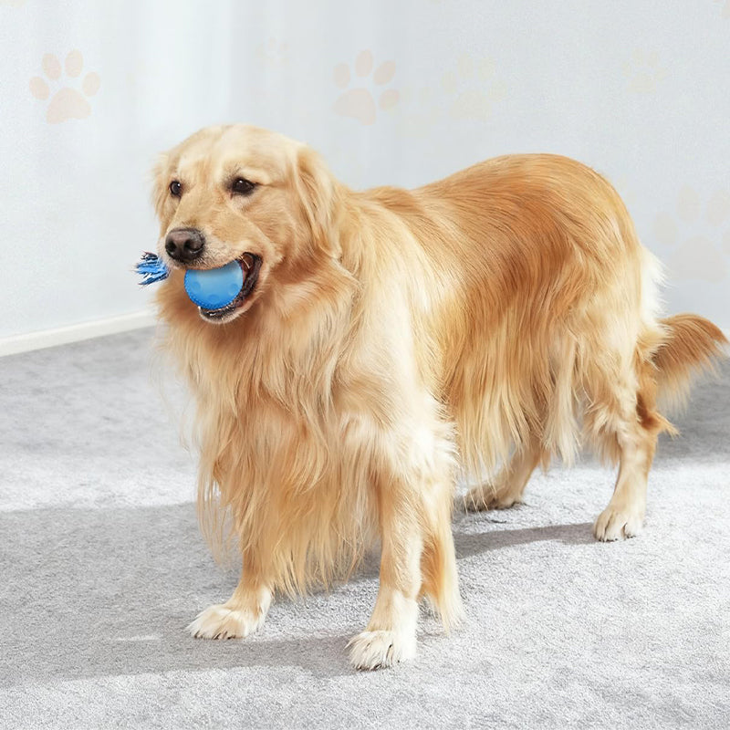 Dog Rope Ball Toy with Bird Sound