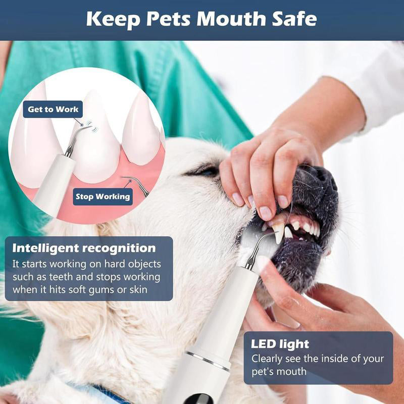 Ultrasonic Dental Scaler with 5 Modes