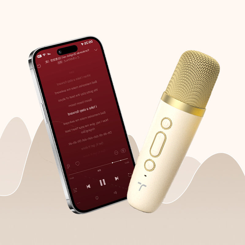 Wireless Karaoke Speaker with Microphone