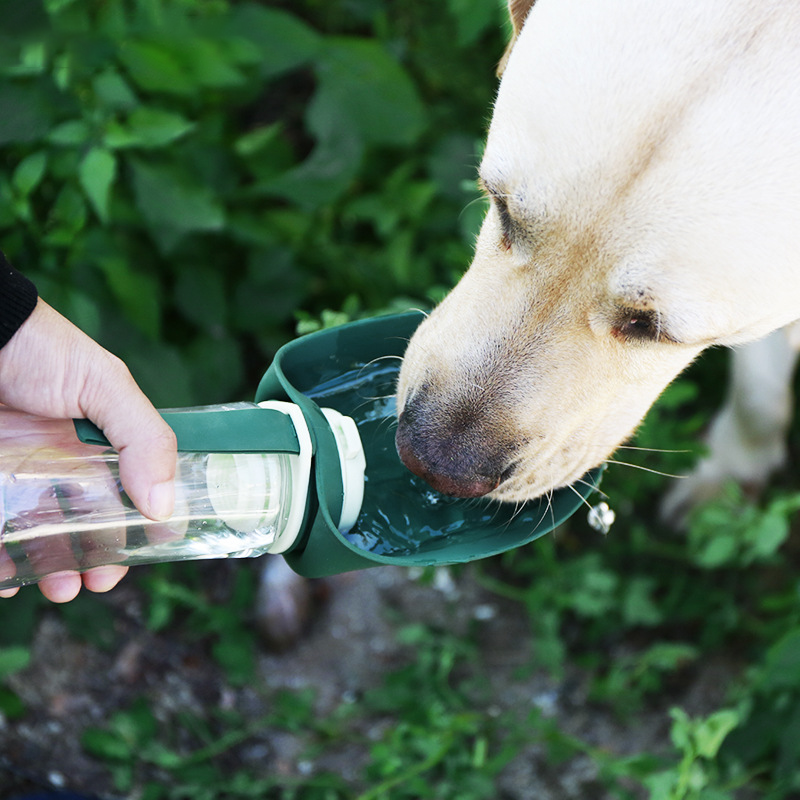 Portable Pet Water and Food Bottle
