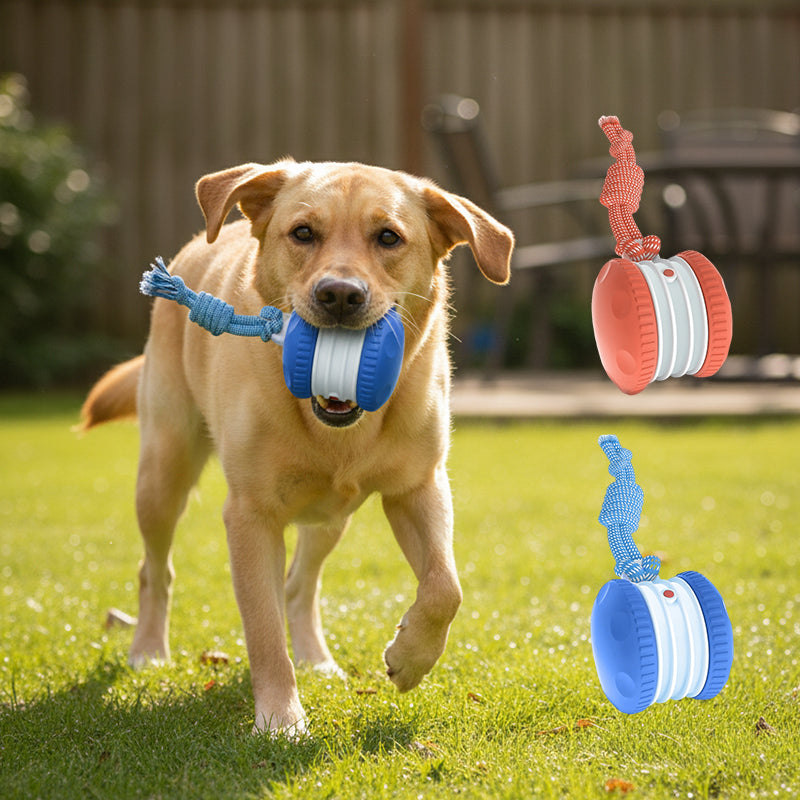 Dog Rope Ball Toy with Bird Sound