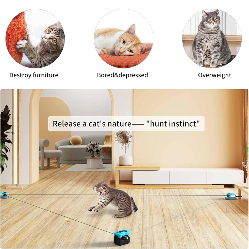 Automatic Manual Weight Loss Running Rope Cat Walking Toy