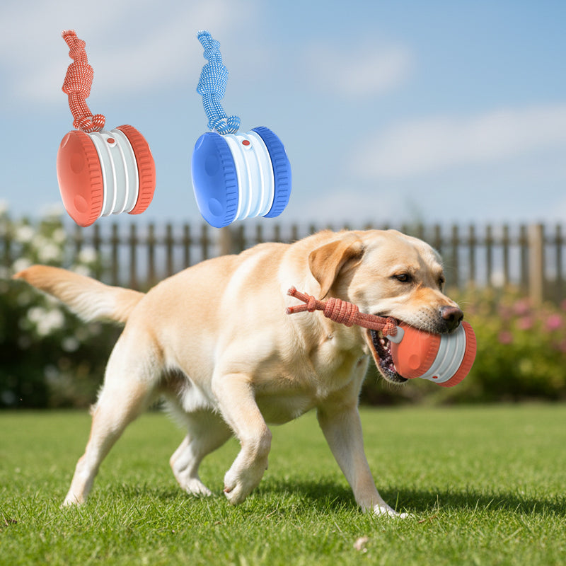 Dog Rope Ball Toy with Bird Sound