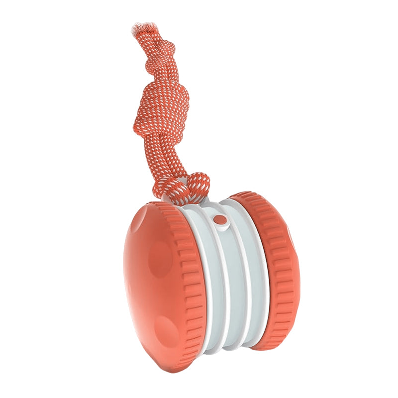 Dog Rope Ball Toy with Bird Sound