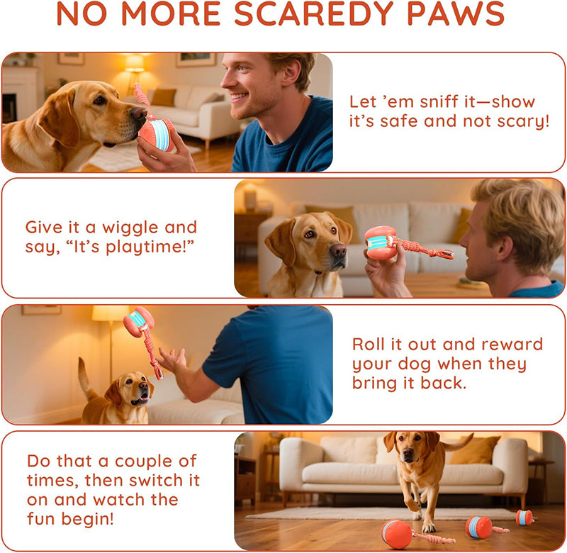 Dog Rope Ball Toy with Bird Sound