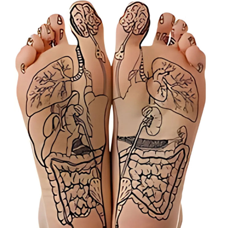 Cuttable magnetic insoles