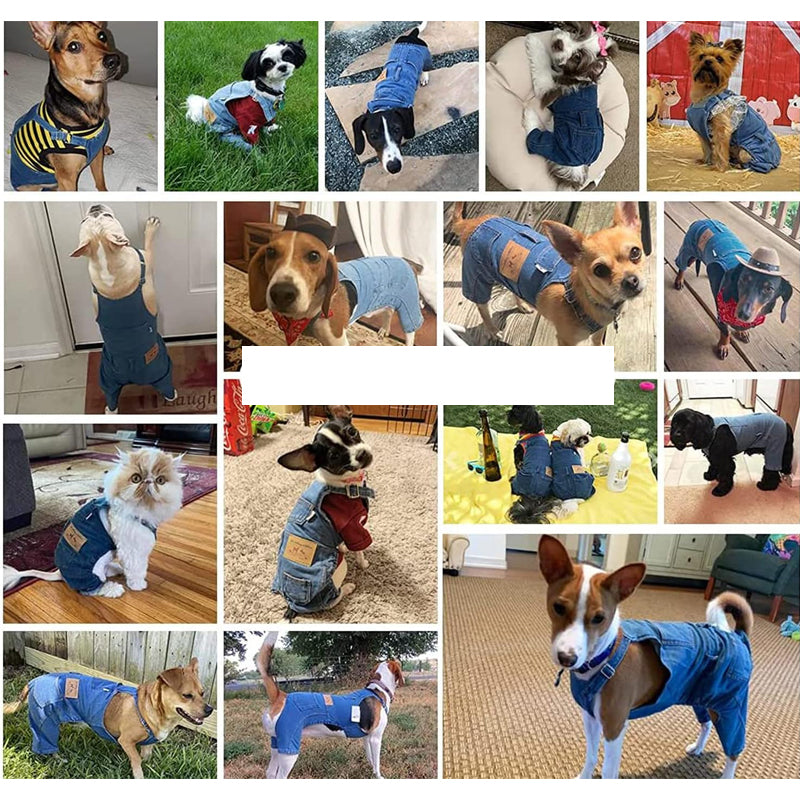 Dog Denim Overall