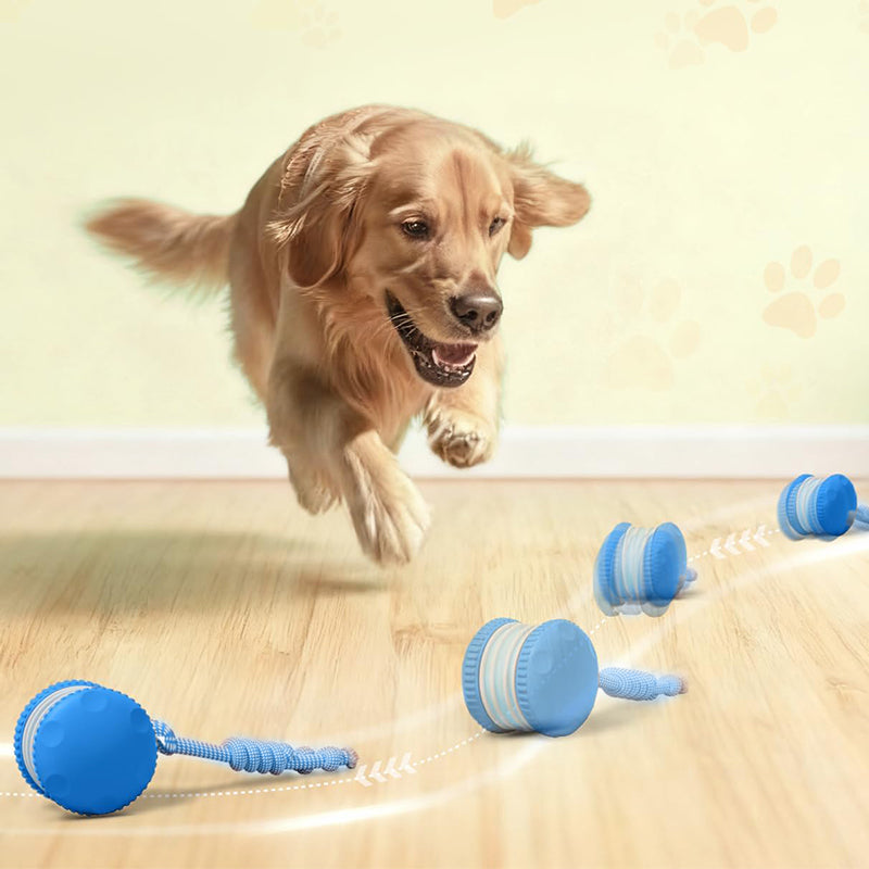 Dog Rope Ball Toy with Bird Sound