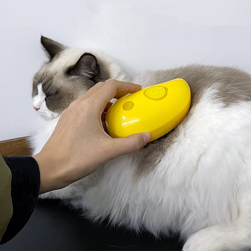 Pet Spray Massage comb
