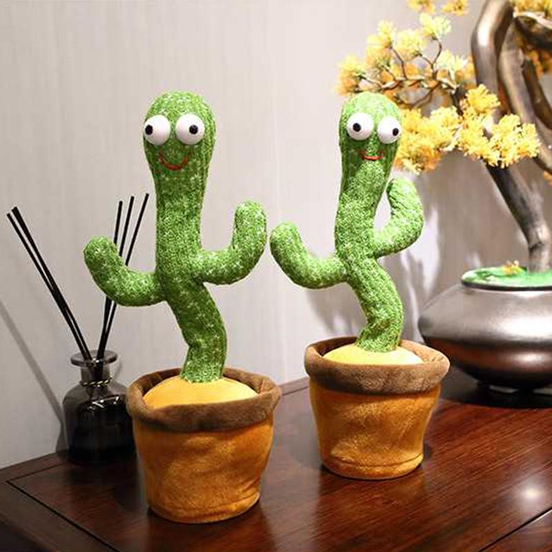 Dancing Cactus