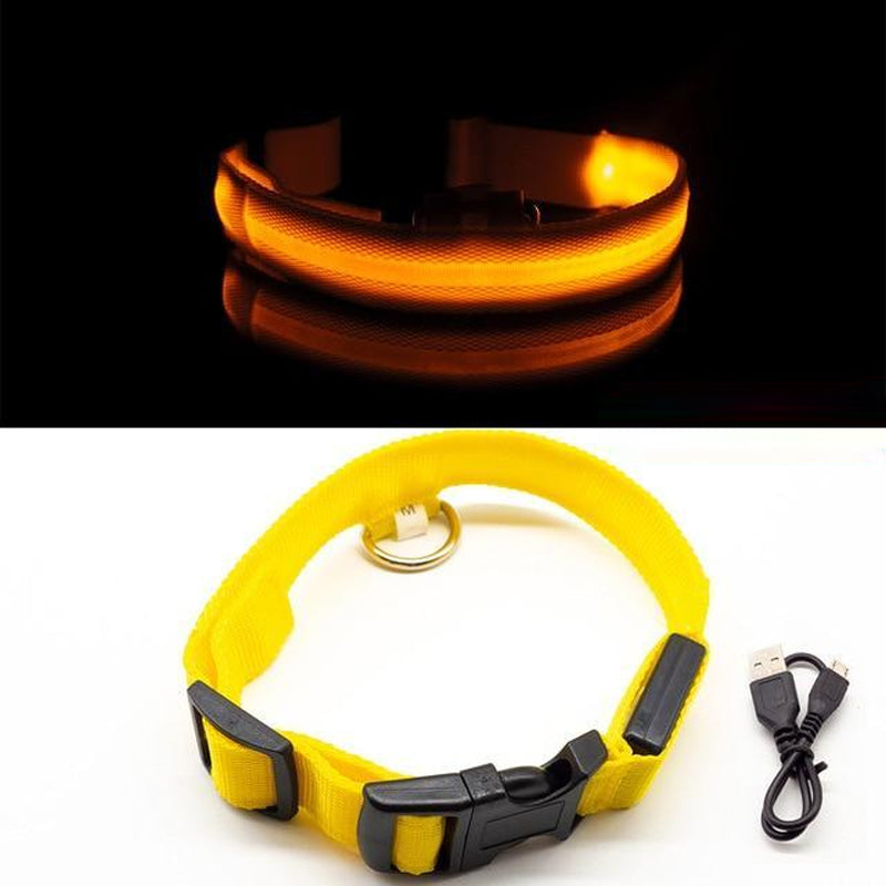 LED Pet Collar