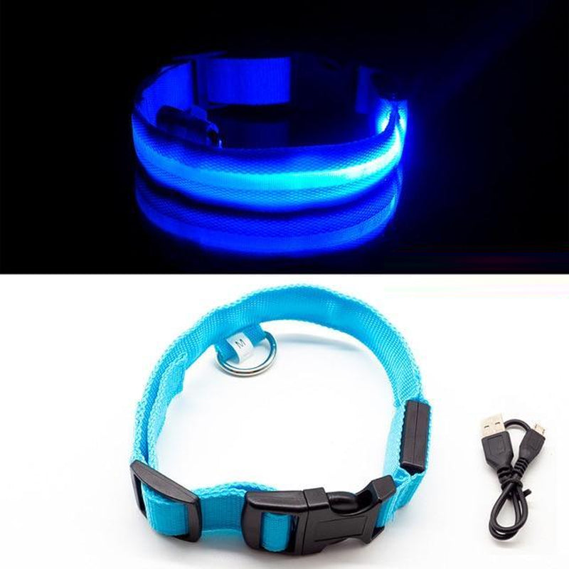 LED Pet Collar