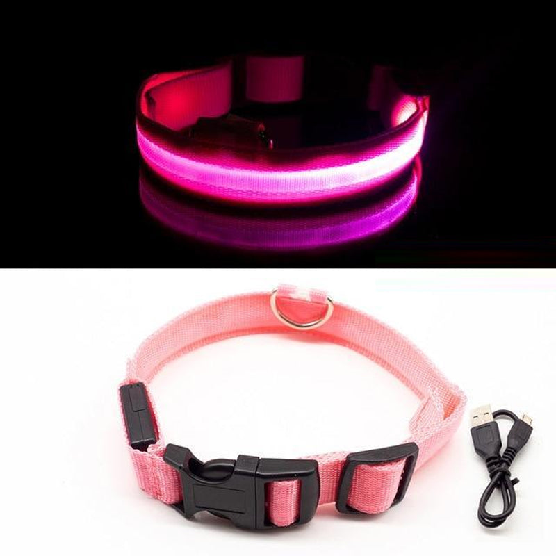 LED Pet Collar