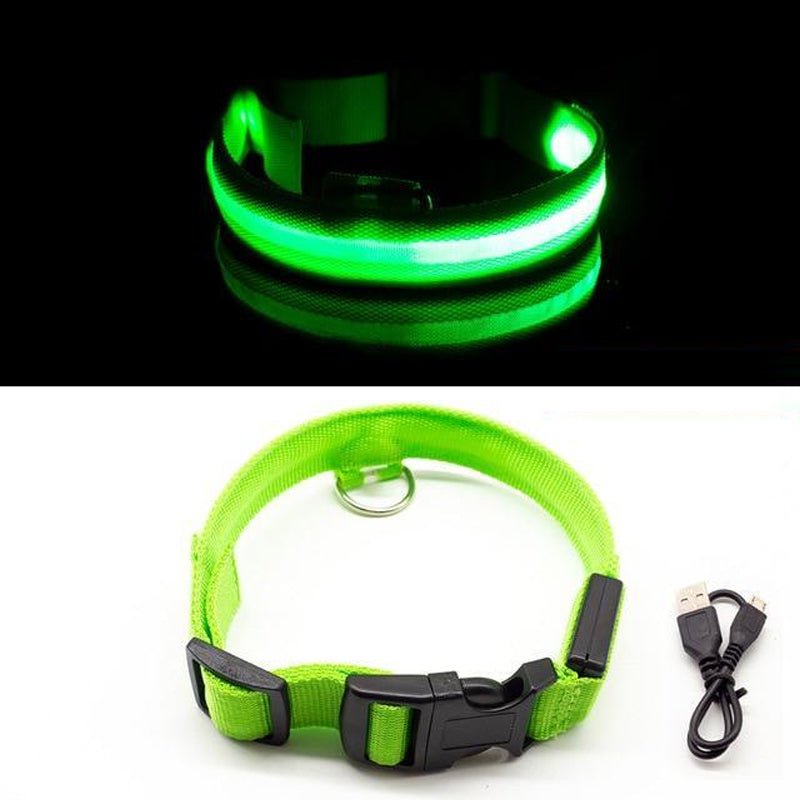 LED Pet Collar