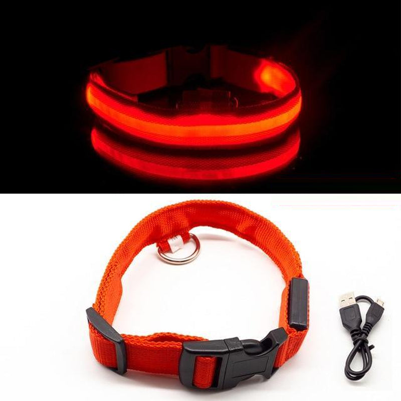 LED Pet Collar