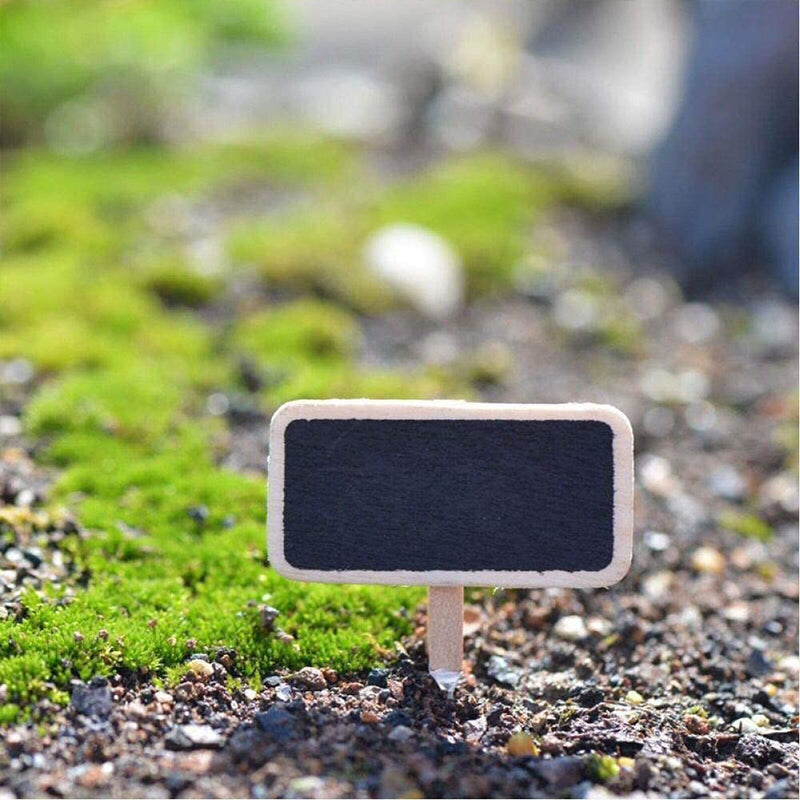 20 Pieces Mini Wooden Chalkboard Plant Markers
