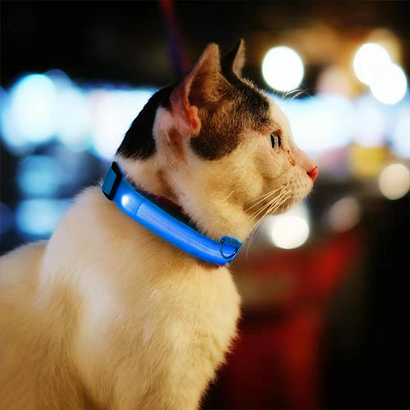 LED Pet Collar