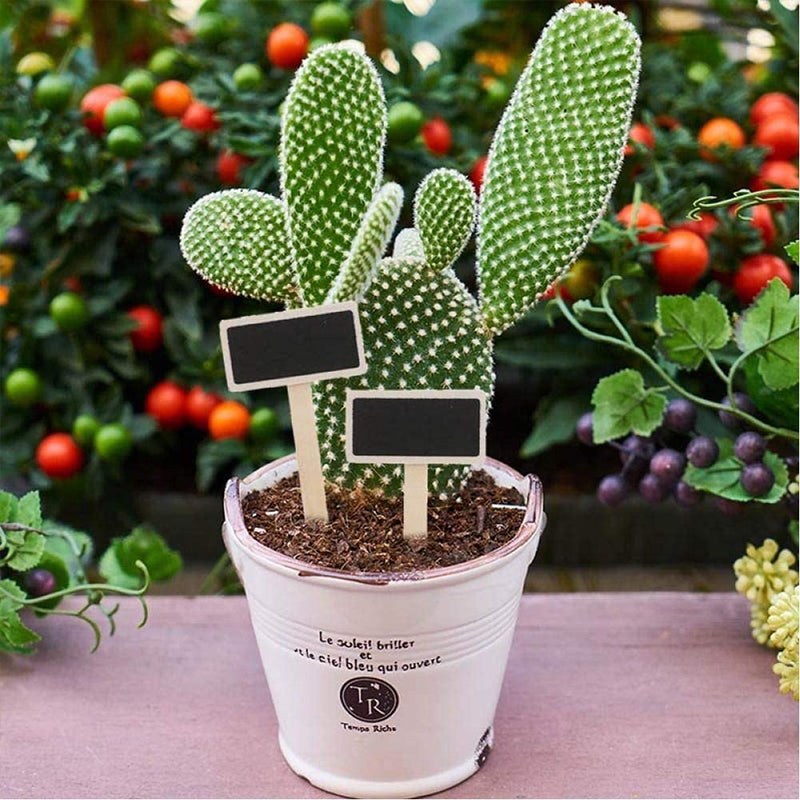 20 Pieces Mini Wooden Chalkboard Plant Markers