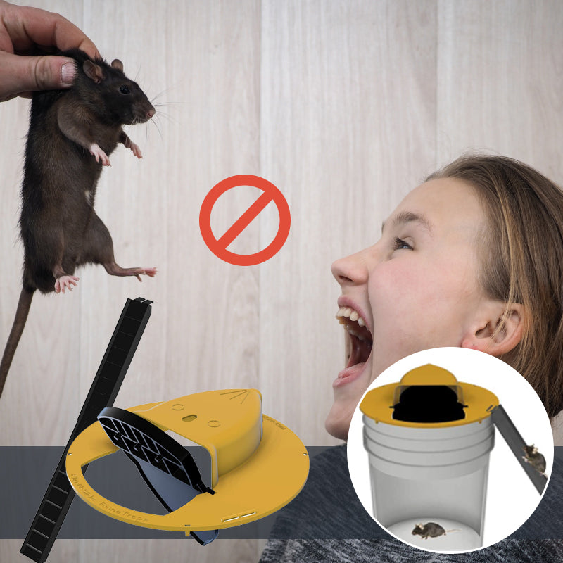 Flip N Slide Bucket Lid Mouse Trap